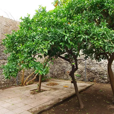 Liberata * Эрколано