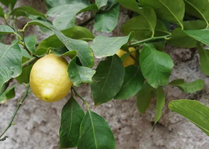 Liberata Tatil Evi Ercolano